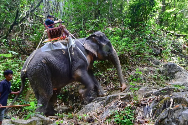 15D14N Center & South Thailand - photo 9